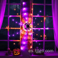 Luz web de Halloween Spider